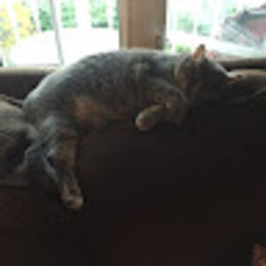 Meet your Posher, Stacy